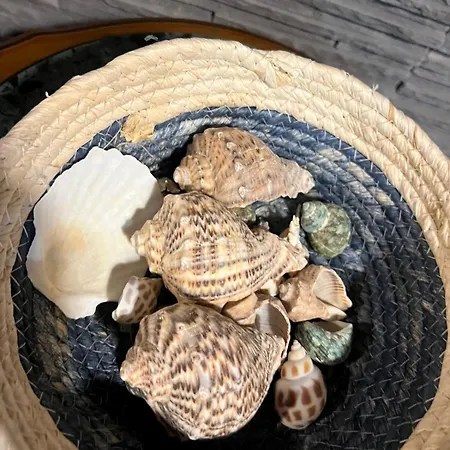 Sea Front Apartament